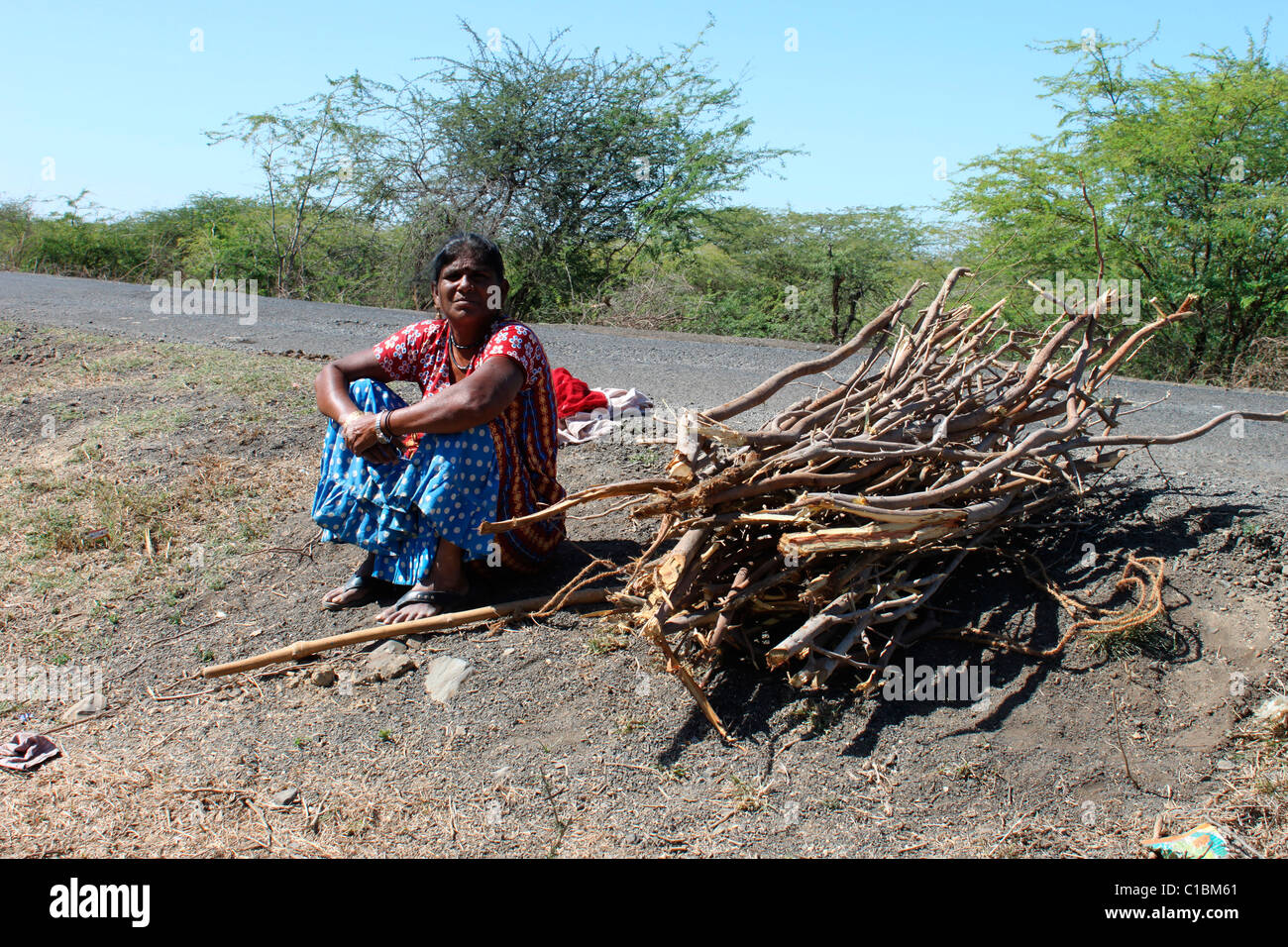 Una donna in India rurale raccolti gli incendi di boschi per scopo di cottura Foto Stock