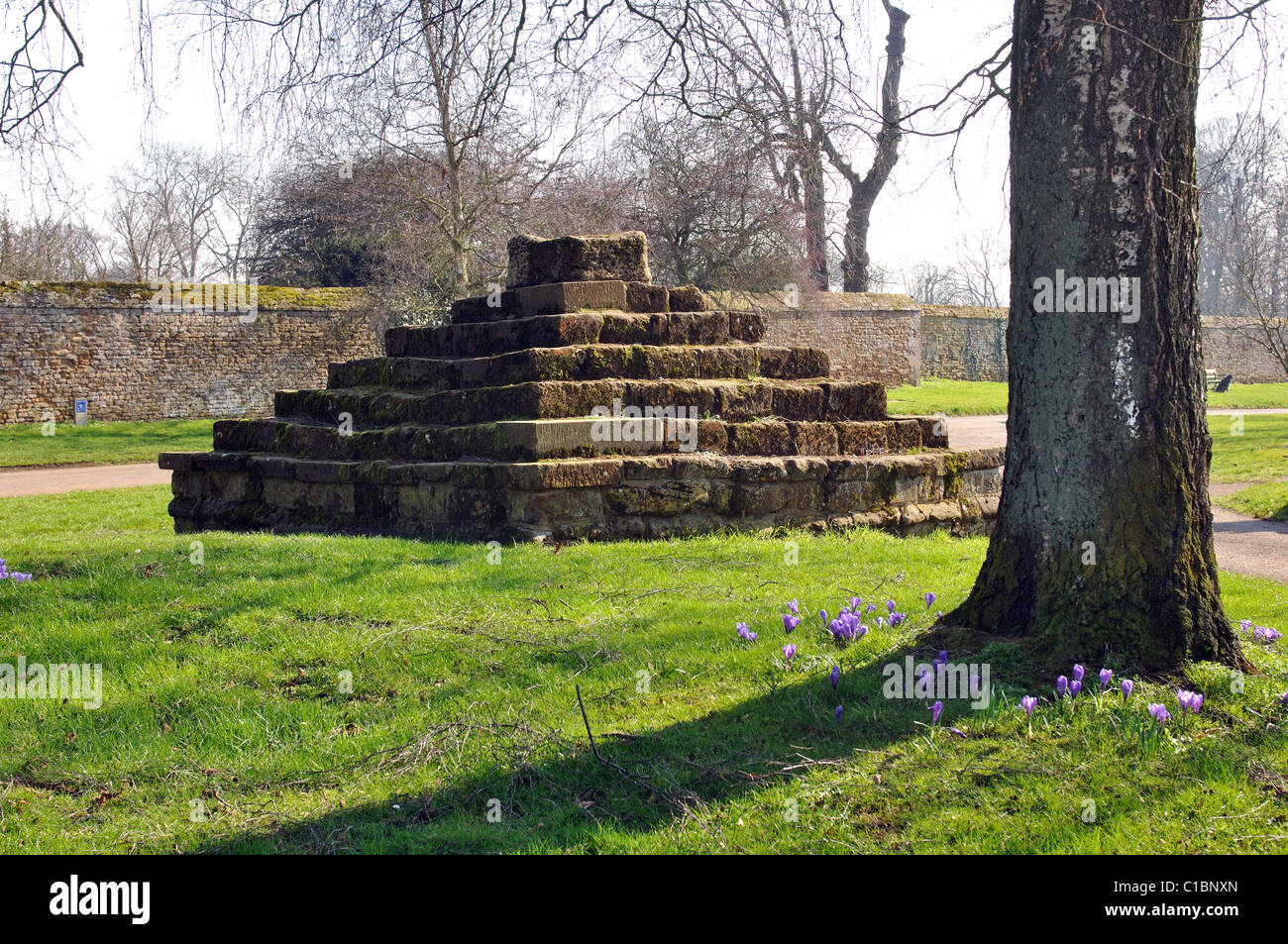 Base della vecchia croce, Chipping Warden, Northamptonshire, England, Regno Unito Foto Stock