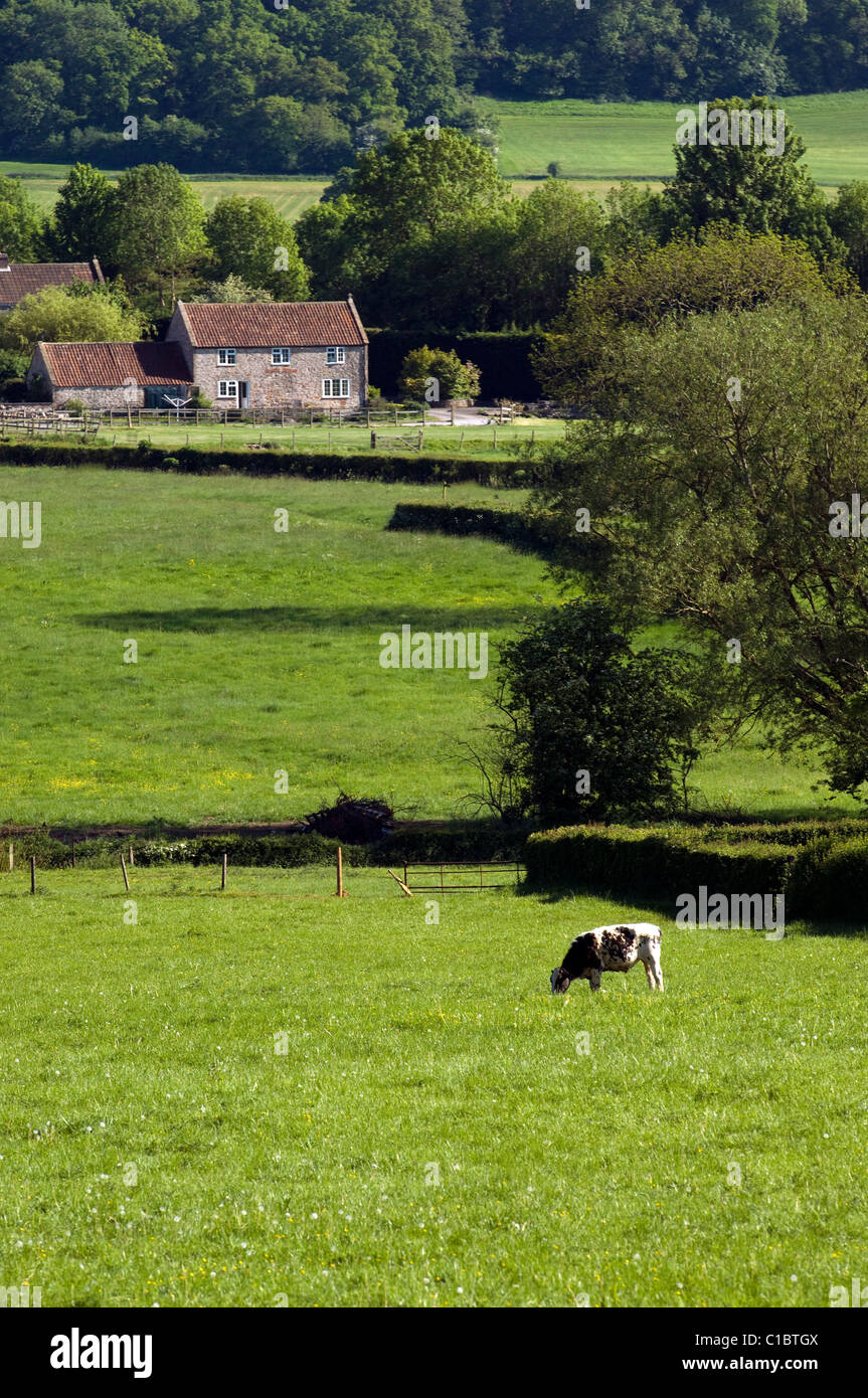 Paesaggio, Shepton Mallet, Somerset, Inghilterra, Regno Unito, Europa Foto Stock