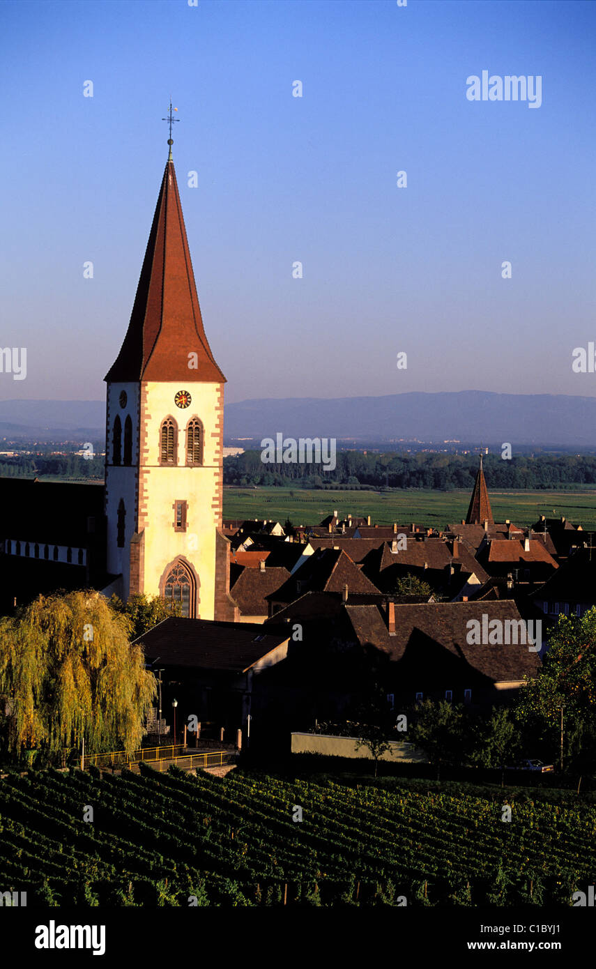 Francia, Haut Rhin, villaggio di Anmeswihr in mezzo ai vigneti, in Alsazia strada del vino Foto Stock