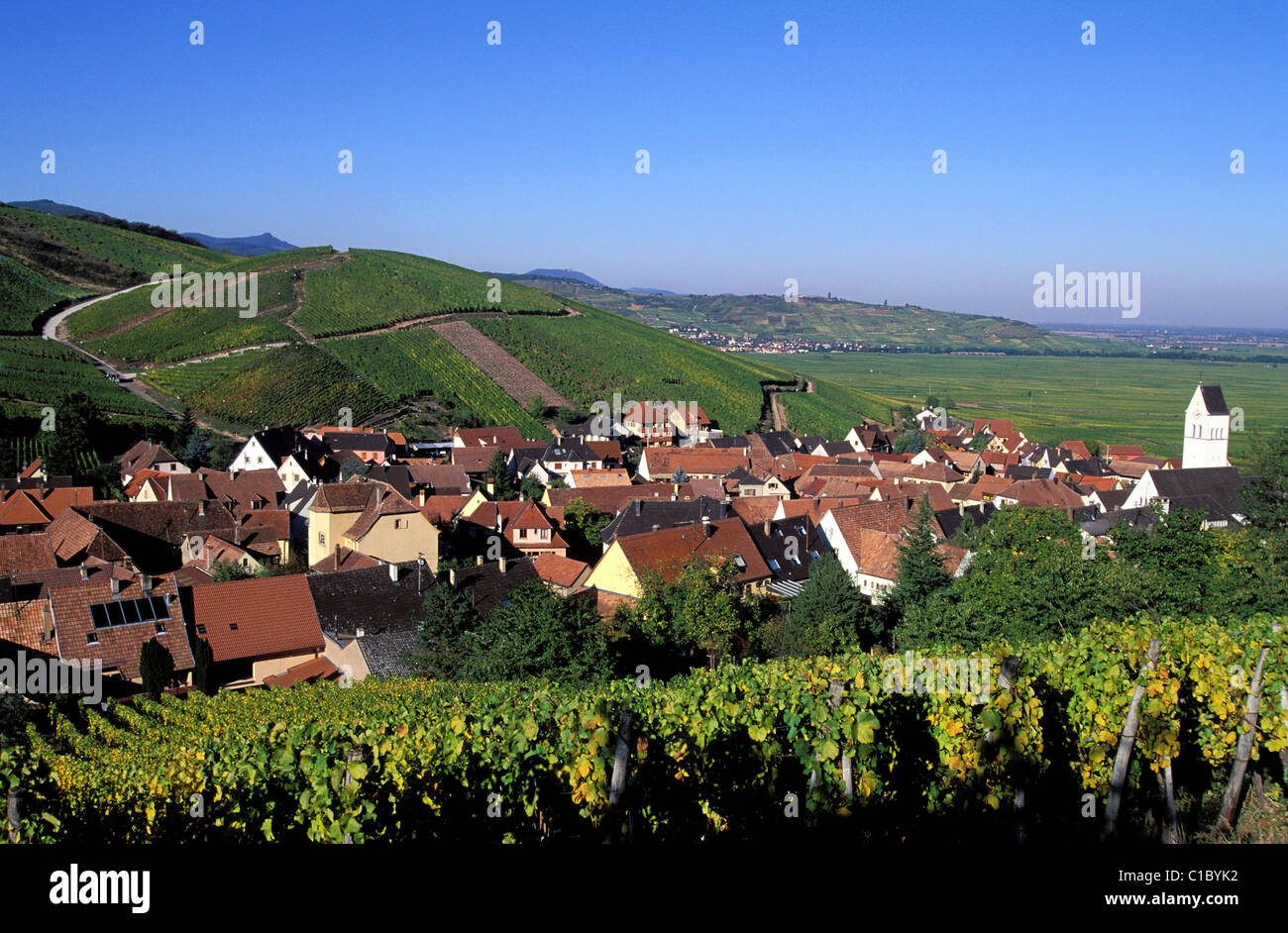 Francia, Haut Rhin, villaggio di Kazenthal in mezzo se i vigneti, in Alsazia strada del vino Foto Stock