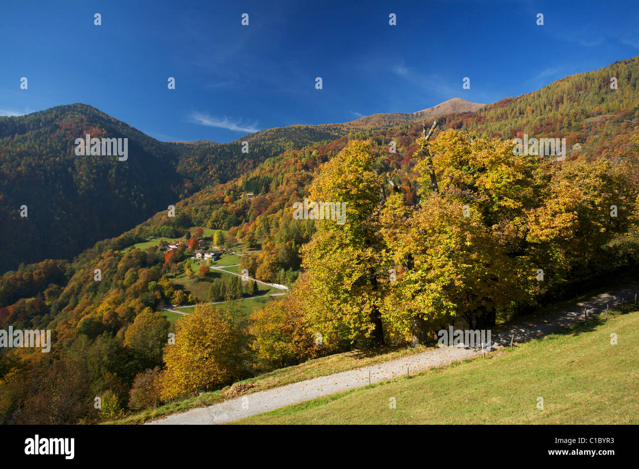 Roncegno village, Lagorai, Valsugana Trentino Alto Adige, Italia, Europa Foto Stock