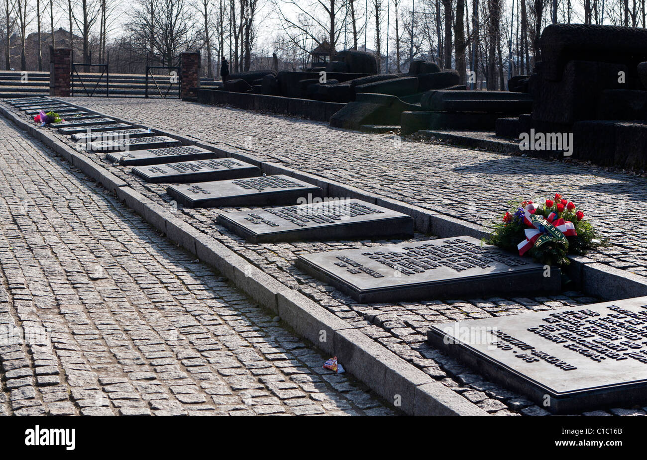 Placche monumento ad Auschwitz II-Birkenau, Polonia. Foto Stock