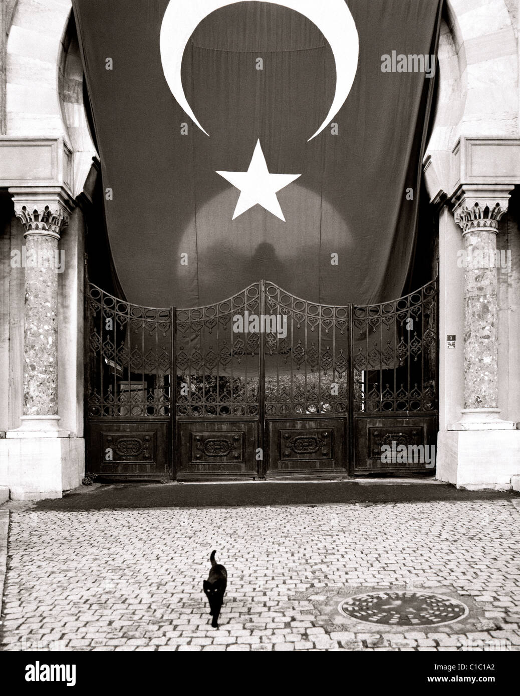 Un gatto nero in corrispondenza del cancello a Istanbul University sulla Piazza Beyazit ad Istanbul in Turchia. Foto Stock