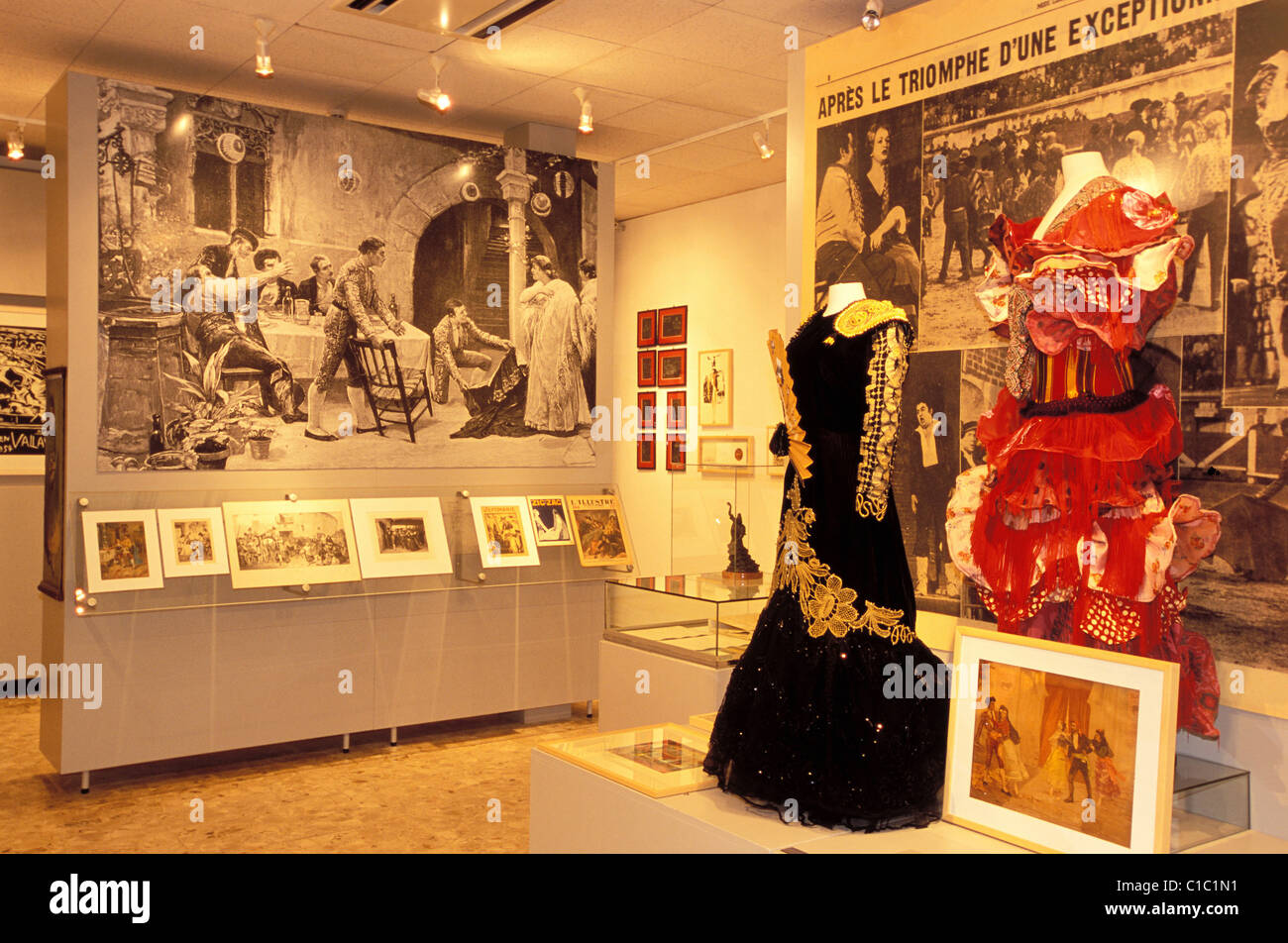 Francia, Gard, Nimes città, Museo della Cultura bullfignts Foto Stock