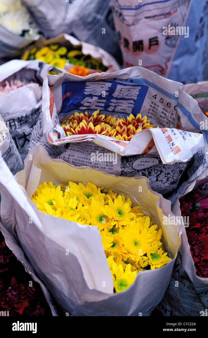 Cina, Hong Kong e la Penisola di Kowloon, Mongkok, mercato dei fiori Foto Stock