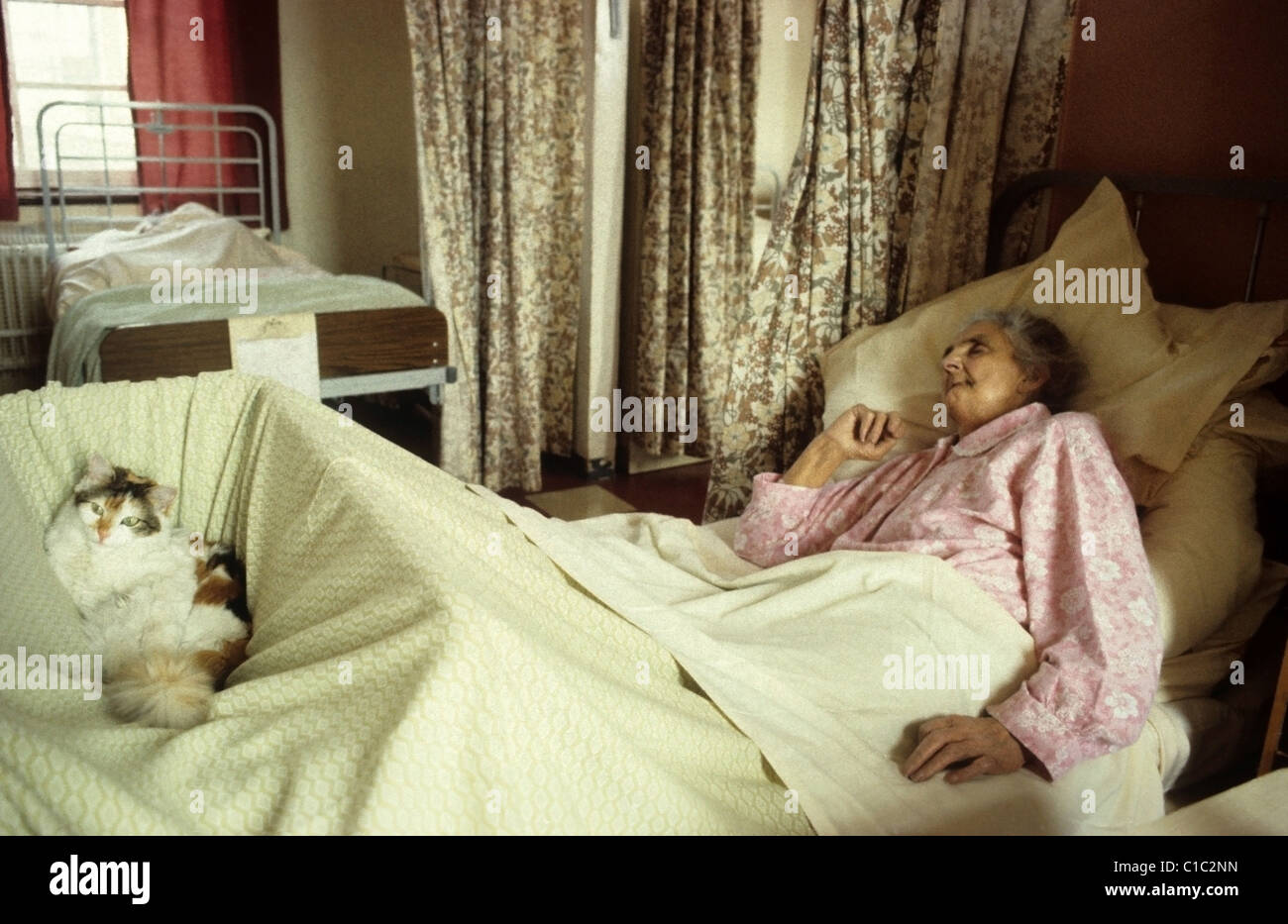Una anziana paziente anziana 80s addormentato in un letto di reparto di ospedale di NHS negli anni '1980s con il suo animale domestico caro tortoiseshell o gatto calico in un cestino in Aberystwyth Galles Regno Unito Gran Bretagna 1983 KATHY DEWITT Foto Stock