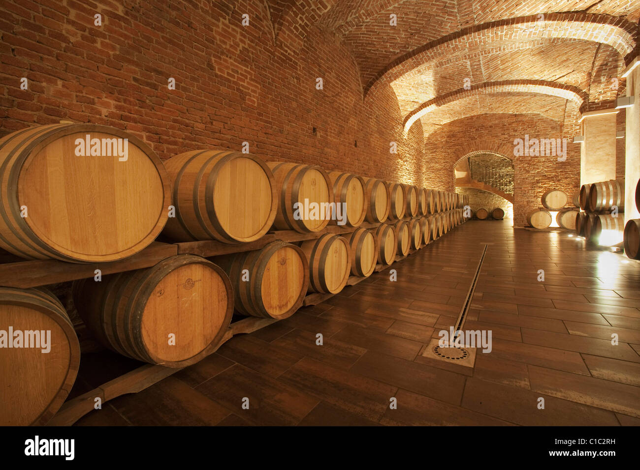 Gancia vino della metropolitana Duomo a Canelli, botti barriques denominato da legno di quercia, Asti, Piemonte, Italia Foto Stock