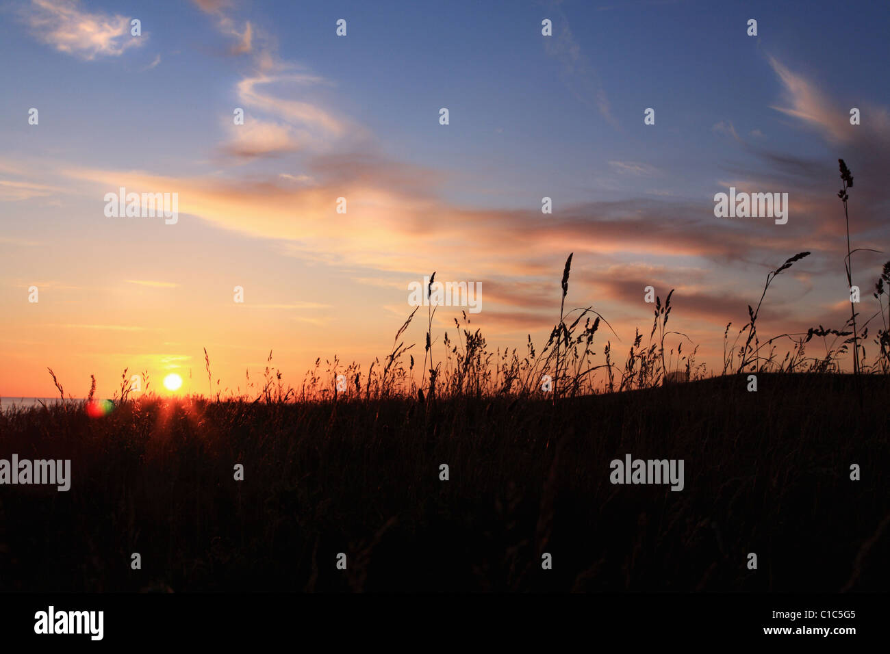 Tramonto a Skane, Svezia Foto Stock