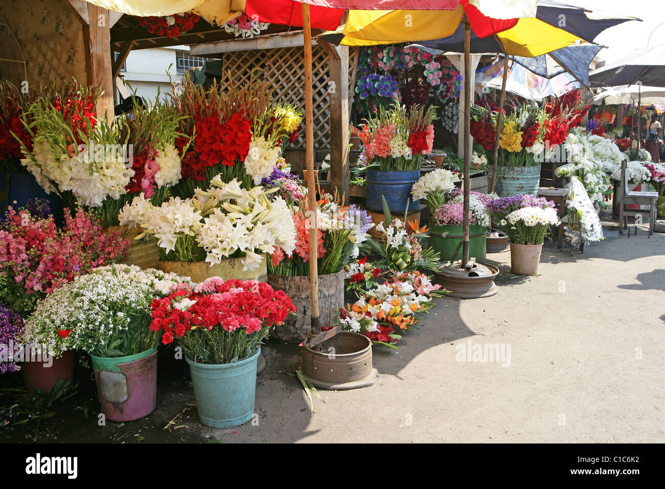 Vivacemente colorato visualizza di fiori in vendita nelle bancarelle del mercato di Antananarivo, capitale del Madagascar Foto Stock