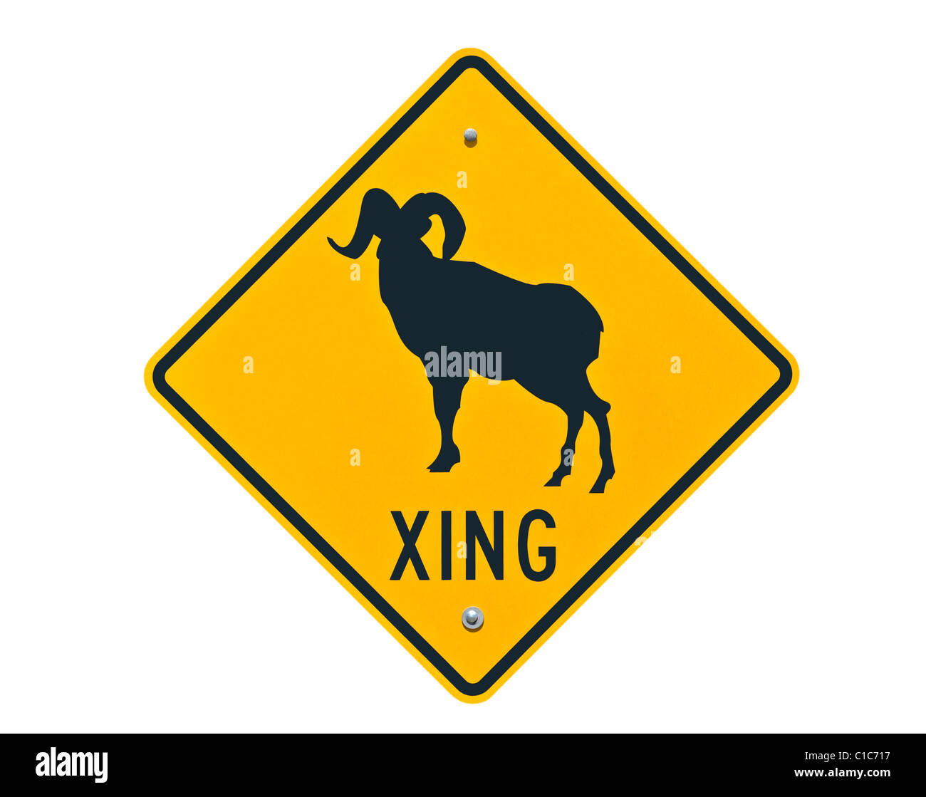 Big Horn pecore attraversando il simbolo di attenzione isloated su bianco. Foto Stock