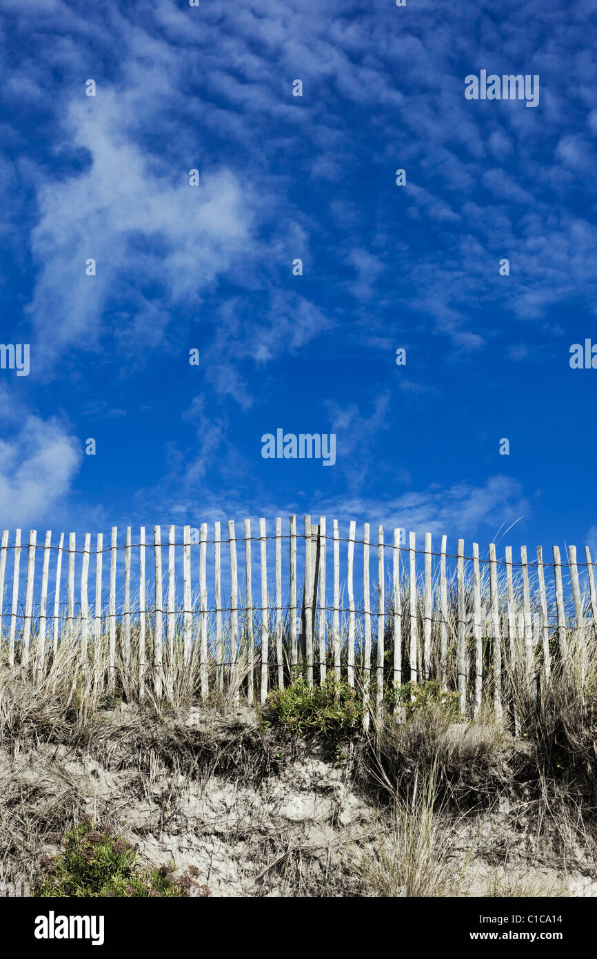 Picchetti in legno recinto sulla duna di sabbia con cielo blu Foto Stock