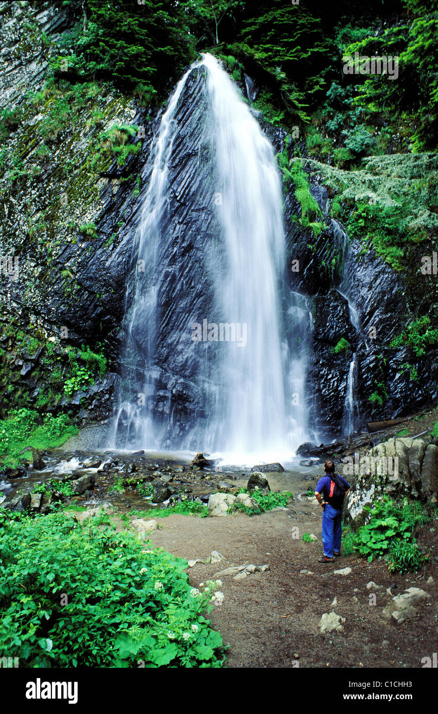 Francia, Puy de Dome, il 30 metri alta cascata Queureuilh, vicino al Mont Dore Foto Stock