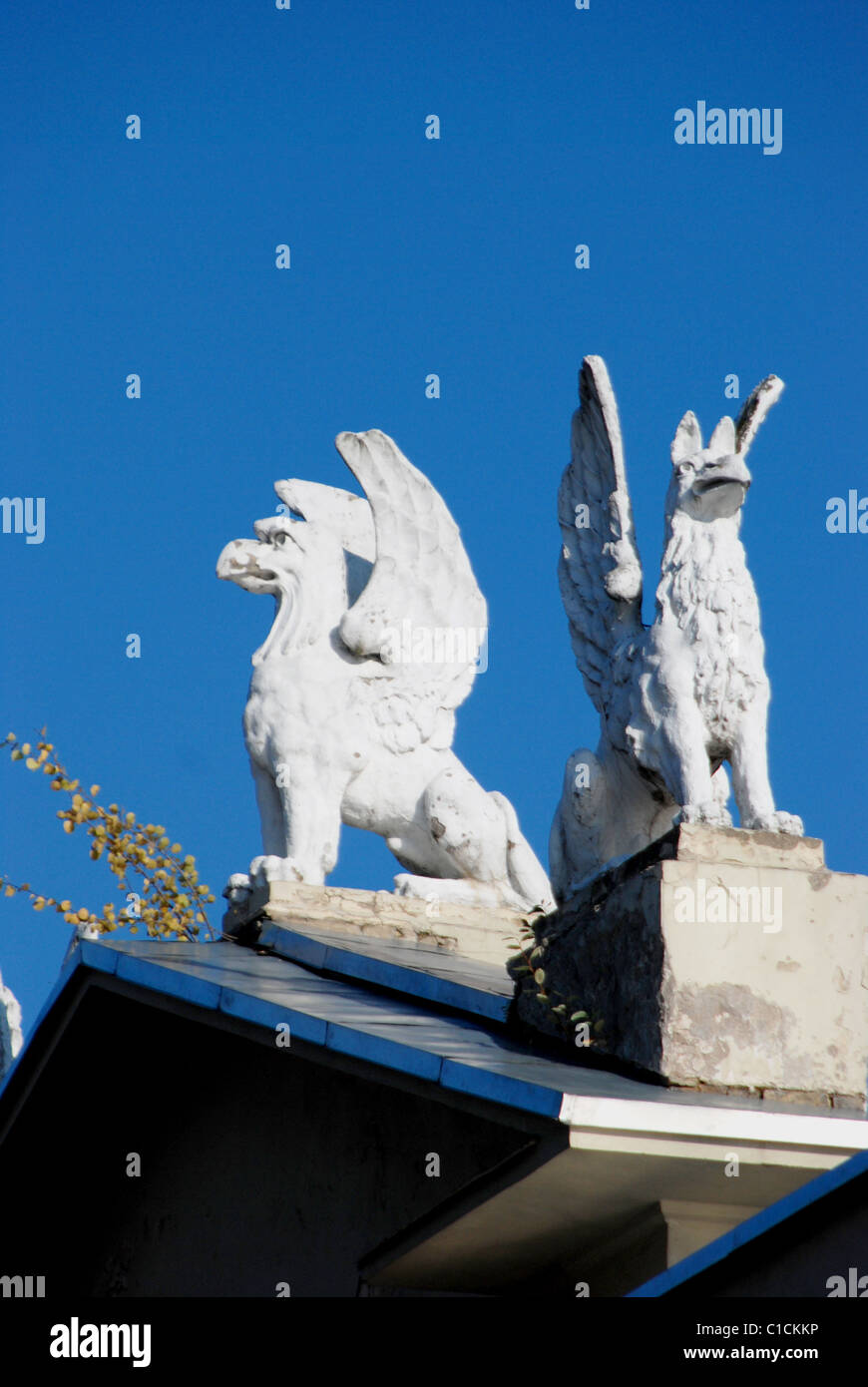 Due alato di Griffin sul tetto di un vecchio edificio Foto Stock