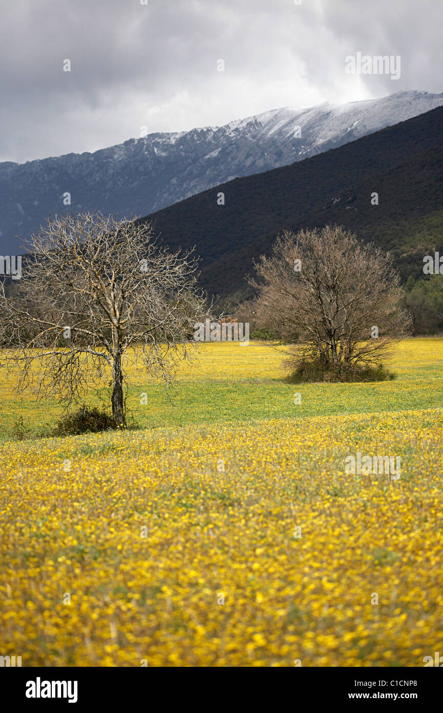 Un inizio di primavera pomeriggio nei pressi di Capa d' Aqua in Abruzzo, Italia Foto Stock