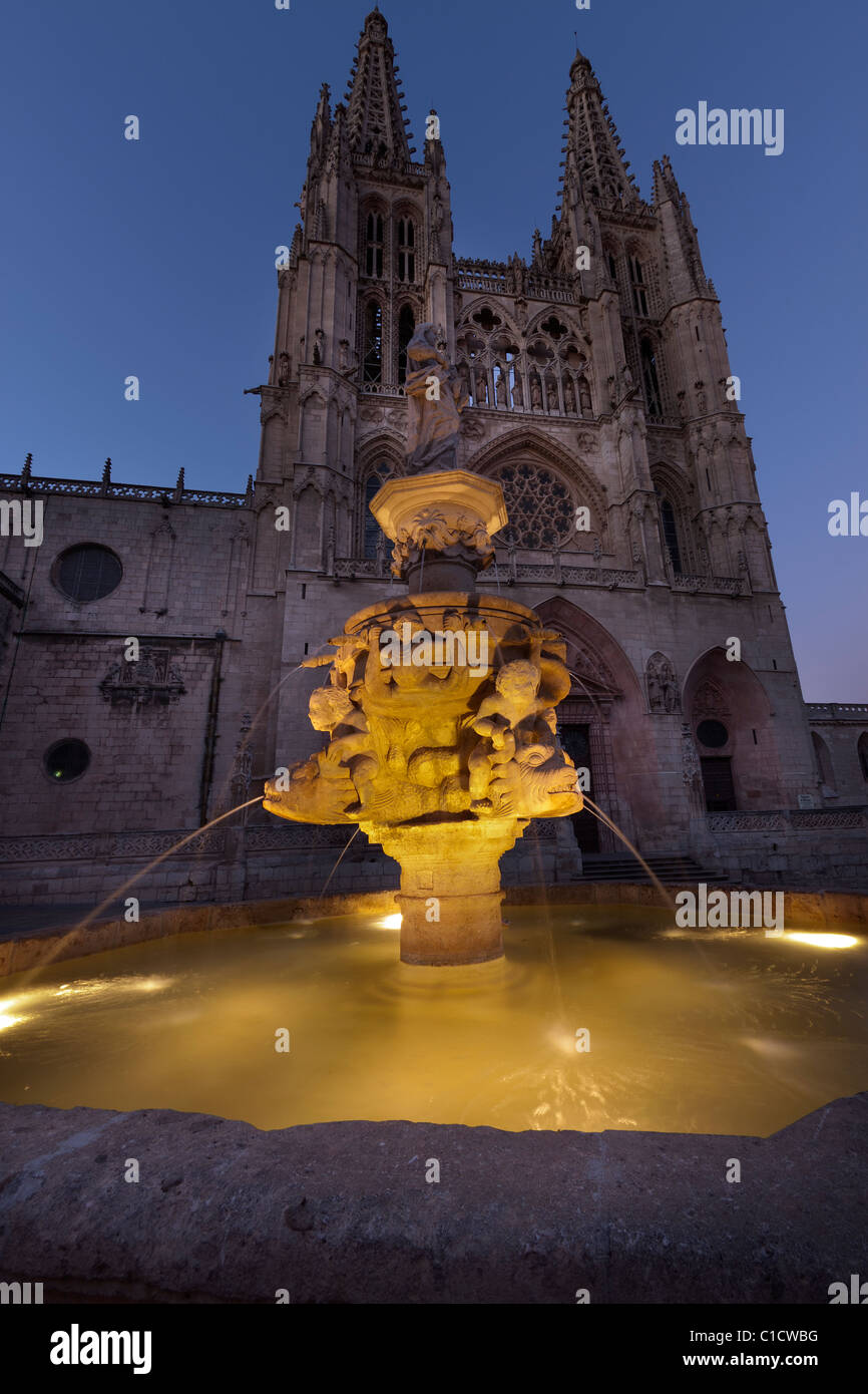 La cattedrale di Burgos al crepuscolo (Spagna) Foto Stock