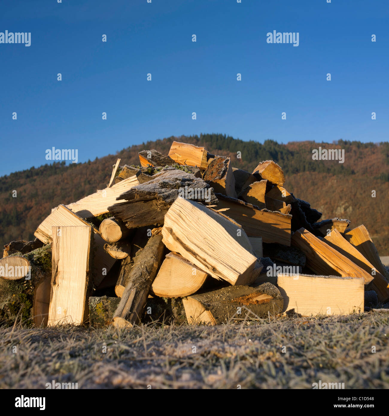 Pila di ciocchi di legna all'esterno Foto Stock