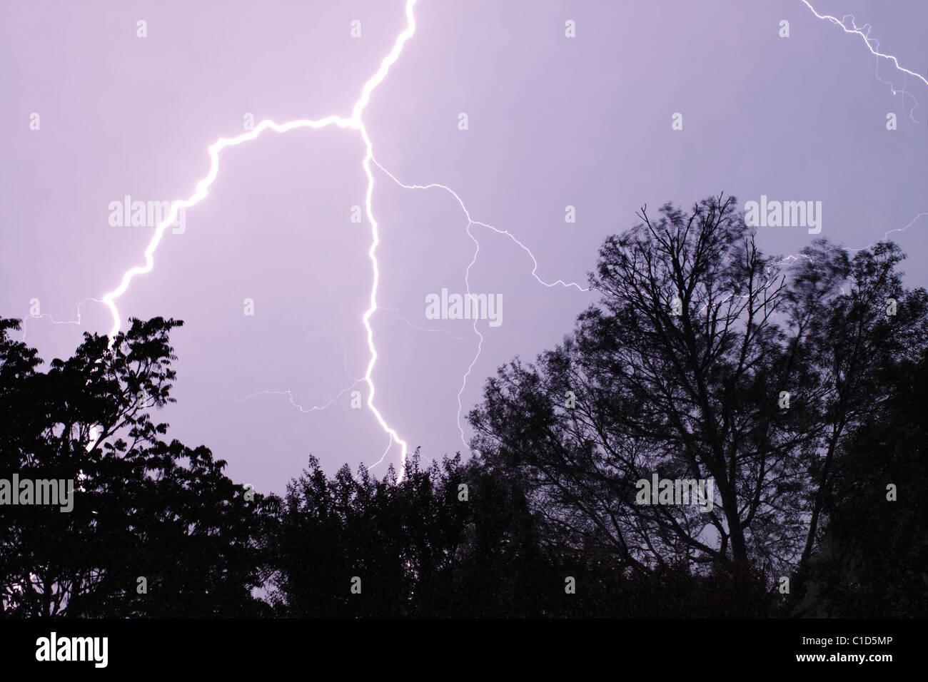 Un alleggerimento sciopero durante una serata gusty temporale. Foto Stock