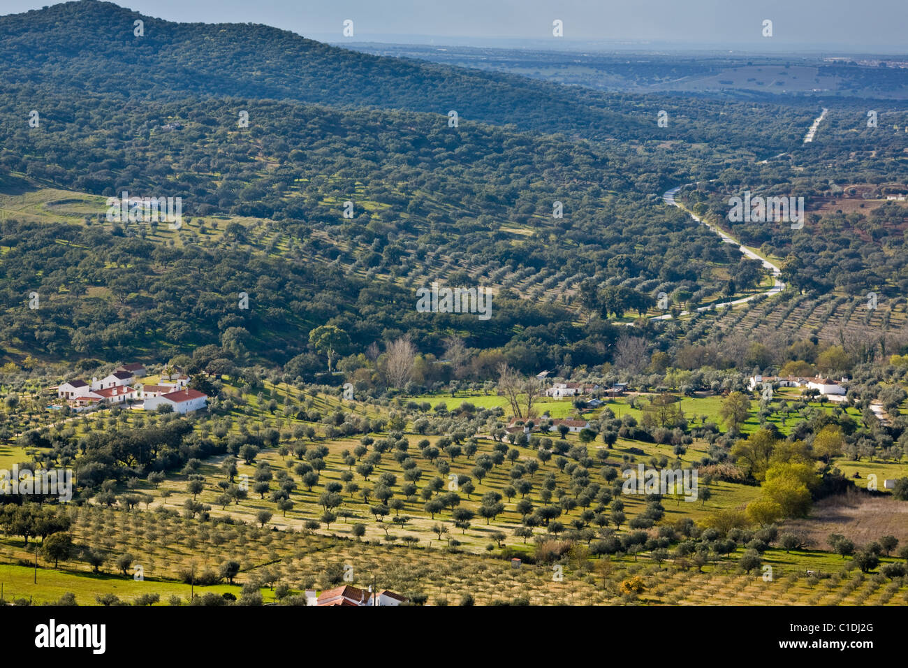 Sughero e olivi punteggiano il paesaggio Alentejo vicino Evoramonte in Portogallo Foto Stock