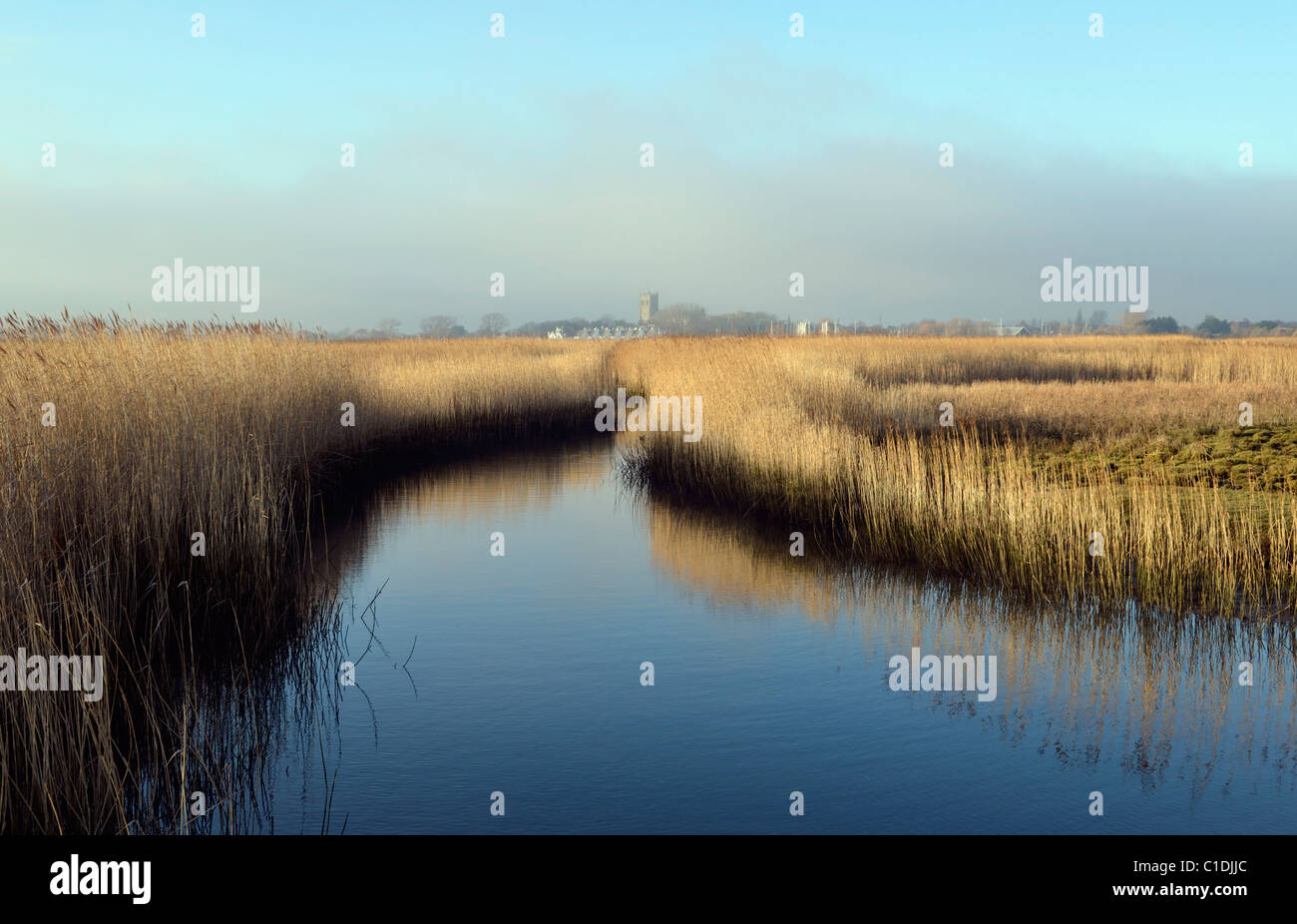 Una bella immagine della palude standpit con il fiume Avon e Christchurch Priory nella distanza. Foto Stock