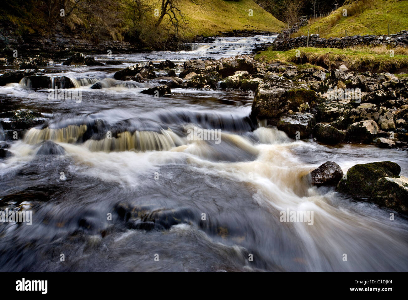 Cascate al di sopra di Thornton vigore, vicino Ingleton, Yorkshire Dales, Inghilterra Foto Stock