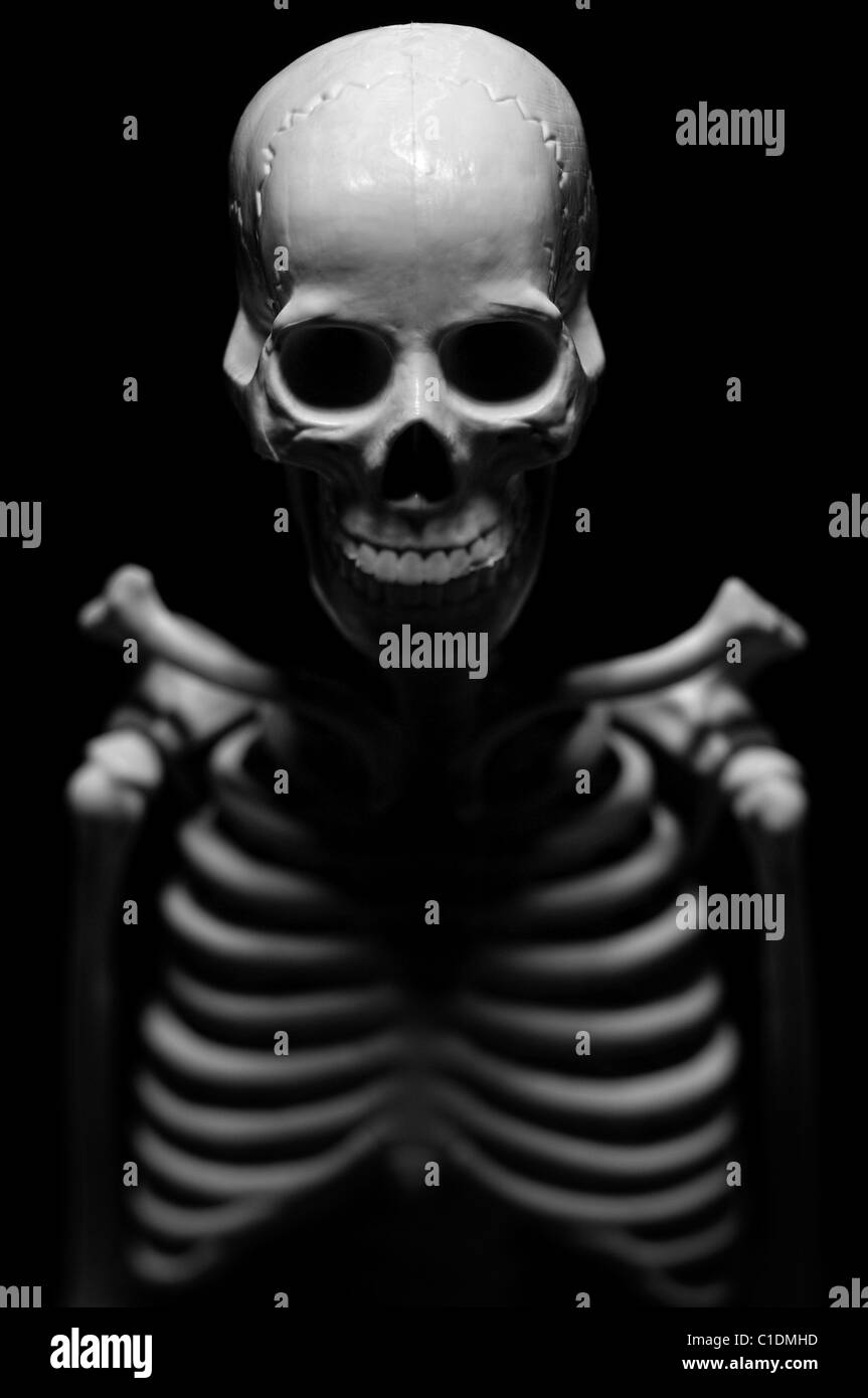 Scheletro umano Foto Stock