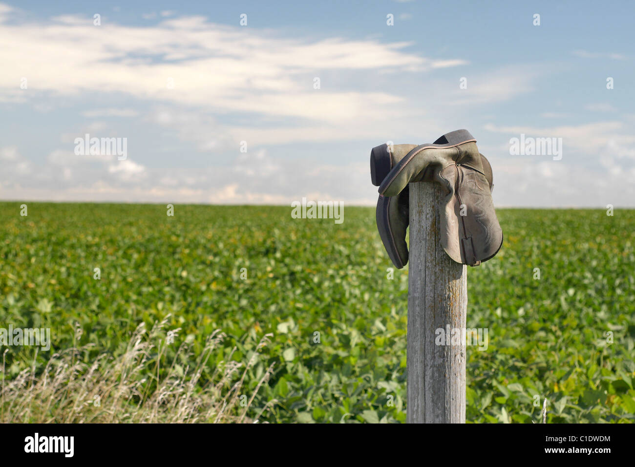 Stivali su un fencepost nelle zone rurali Iowa Foto Stock