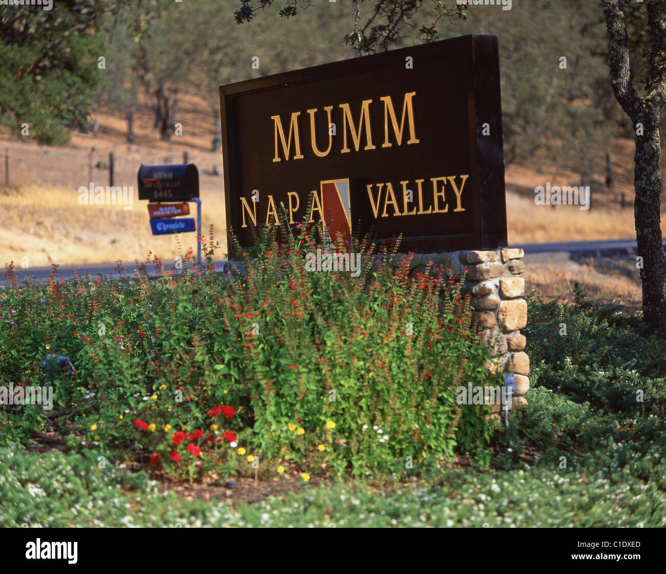 Mumm Cantina Napa Valley, California, Stati Uniti d'America Foto Stock