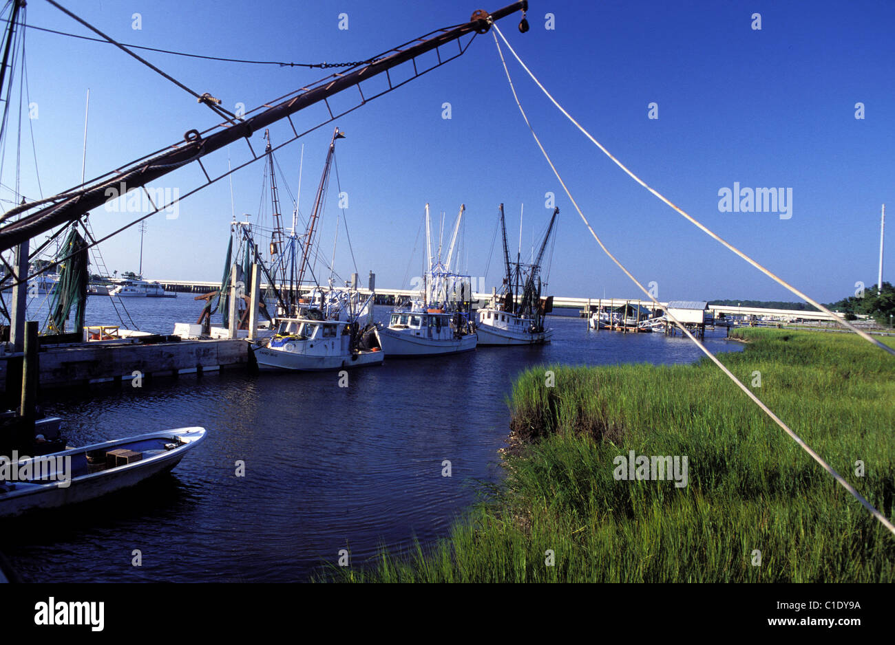 Stati Uniti, Georgia, Tybee Island, la pesca dei gamberetti port Foto Stock