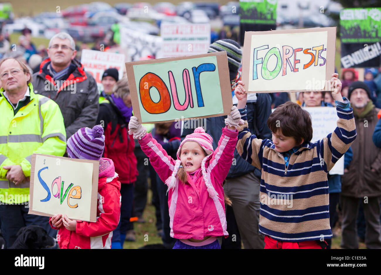 Persone che protestano in Grizedale Forest, Lake District, contro i governi proposte per vendere il territorio della Commissione forestale. Foto Stock
