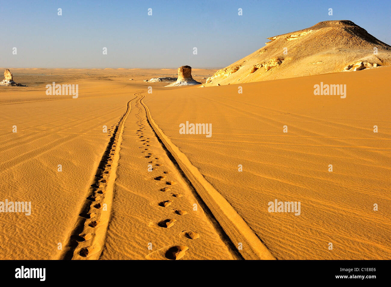 Tracce su una duna di sabbia e un chalk rock formazione nel Deserto Bianco National Park, western di Egitto Foto Stock