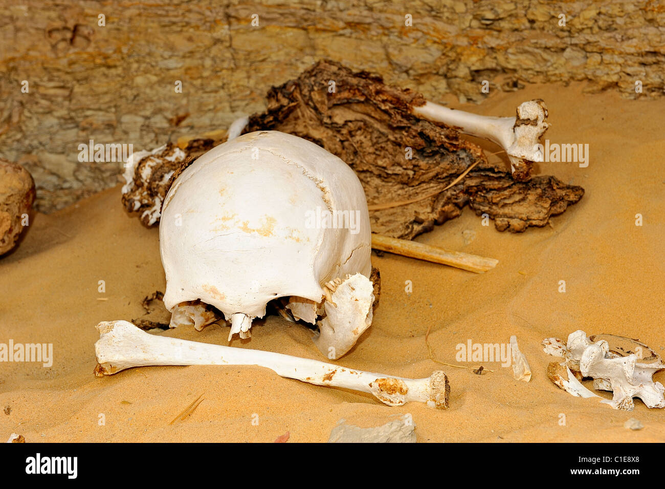 Aprire tomba romana con scheletri, ossa e di teschi nel deserto occidentale, Egitto Foto Stock