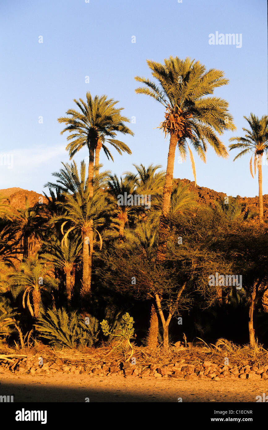 Niger, Sahara, l'oasi di Timia nel massiccio montagnoso di aria Foto Stock