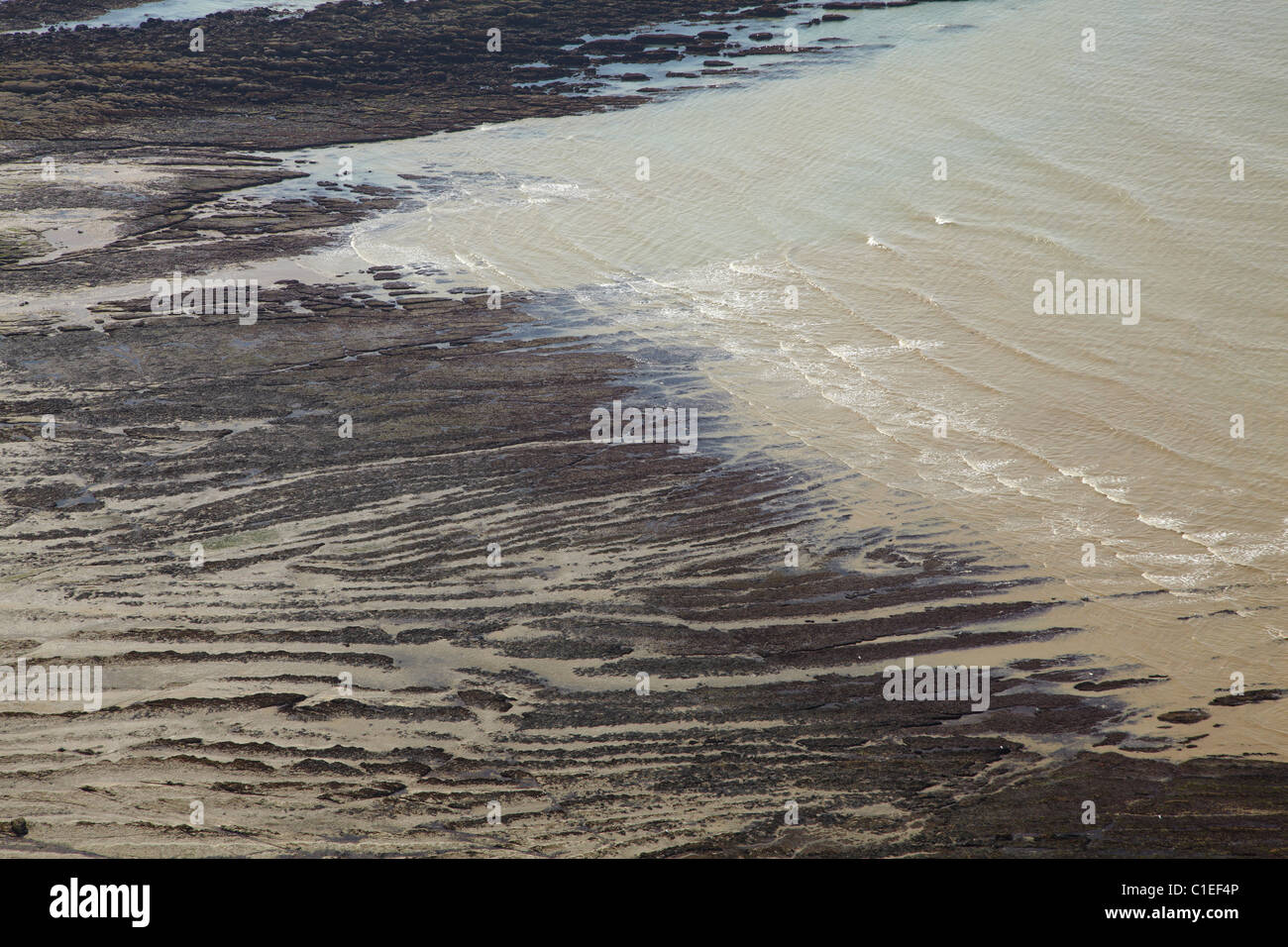 Modelli di roccia con la bassa marea, Beachy Head, East Sussex, England, Regno Unito Foto Stock
