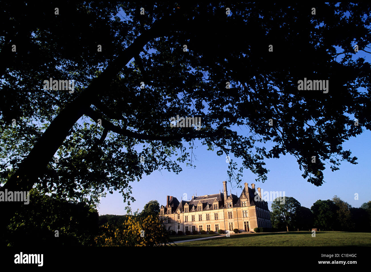 Francia, Loir et Cher, strada dei re François Ist, Cellettes, castello di Beauregard Foto Stock
