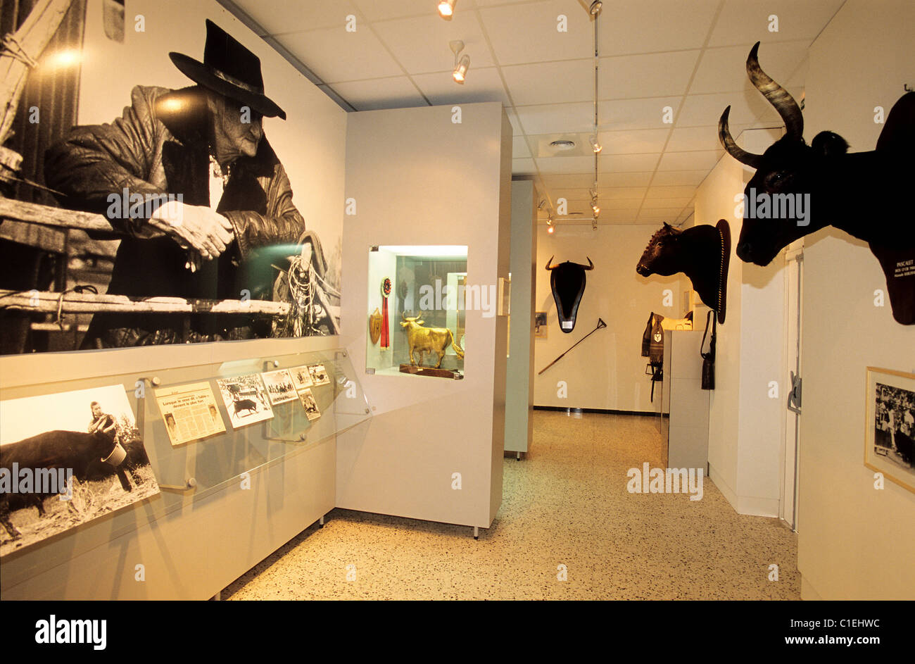 Francia, Gard, Nimes città, Museo della Cultura bullfignts Foto Stock