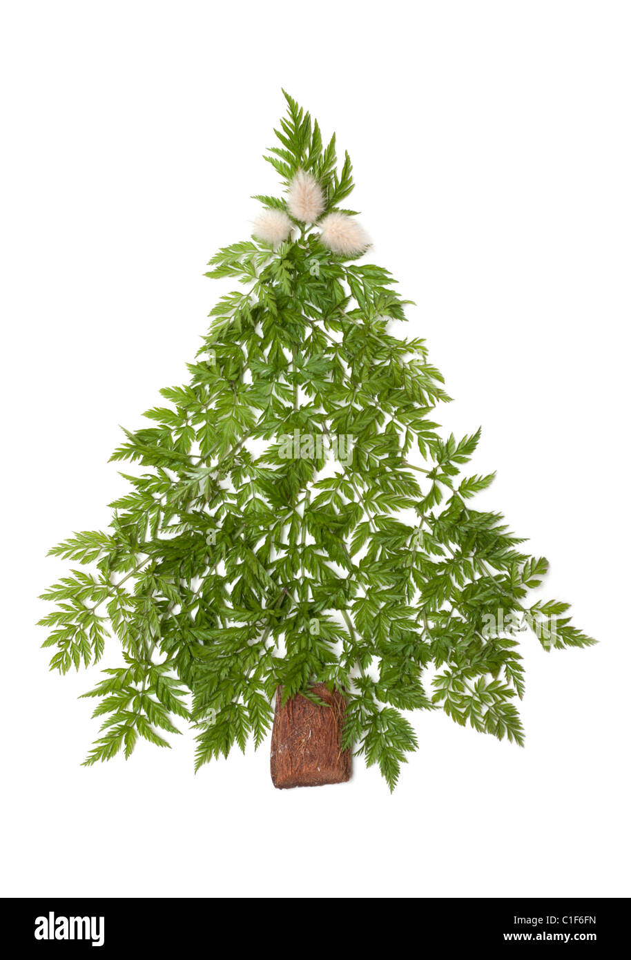 Decorativo abete di Natale da erba verde messo su sfondo bianco Foto Stock