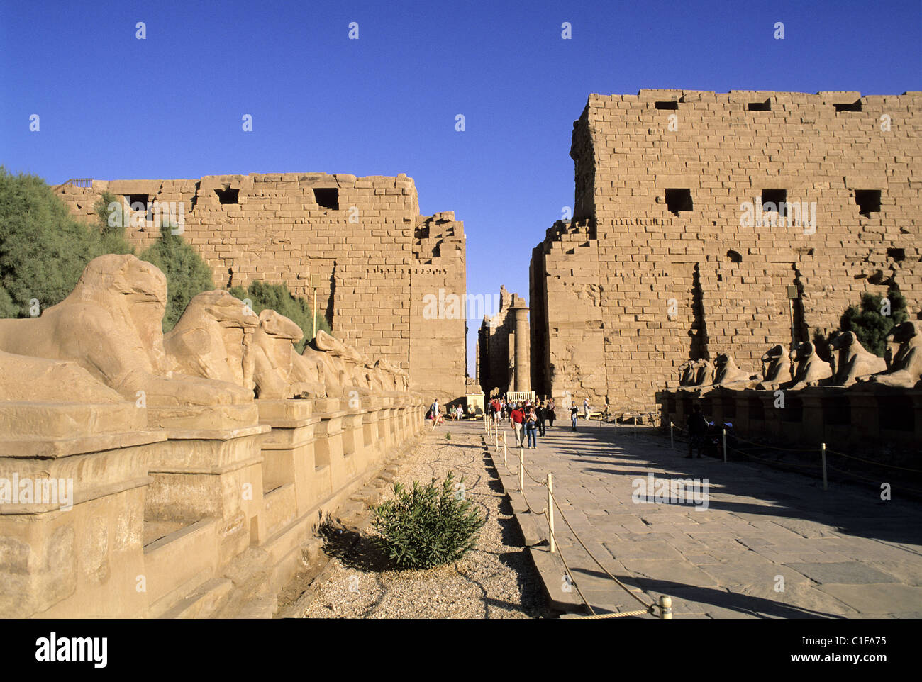 L'Egitto, la valle del Nilo, Luxor, la sfinge vicolo del tempio di Karnak Foto Stock