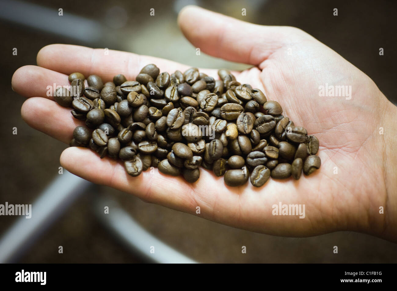 La tostatura del caffè al roastery a Berlino, Germania Foto Stock