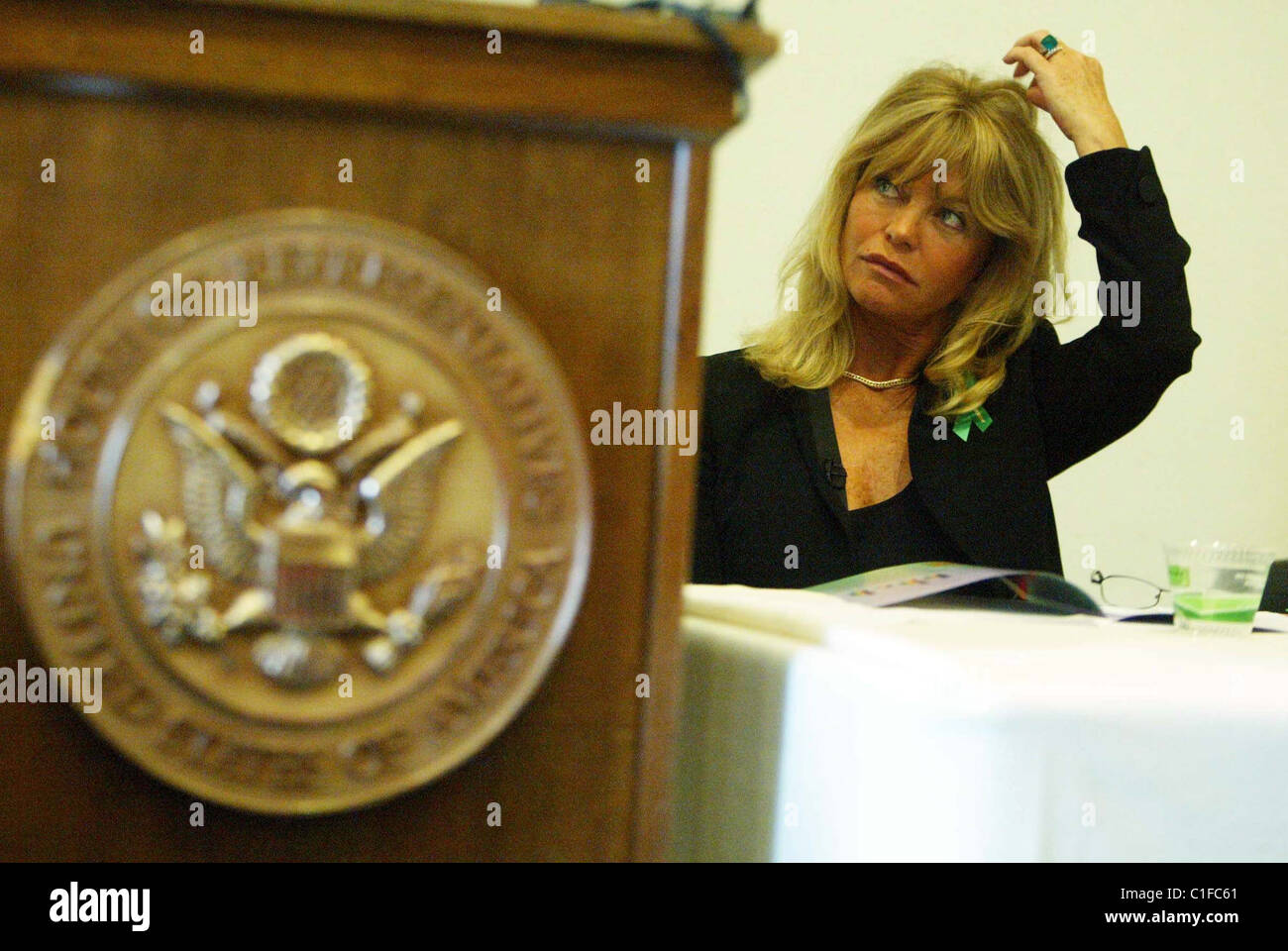 Goldie Hawn Bazelon il Centro per la salute mentale diritto, Alleanza Nazionale sulla malattia mentale, la salute mentale in America e la Foto Stock