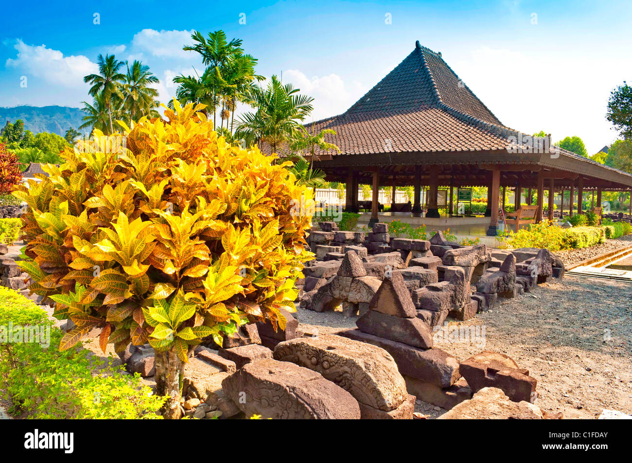 Il giardino esterno in Prambana sito del tempio, Indonesia Foto Stock