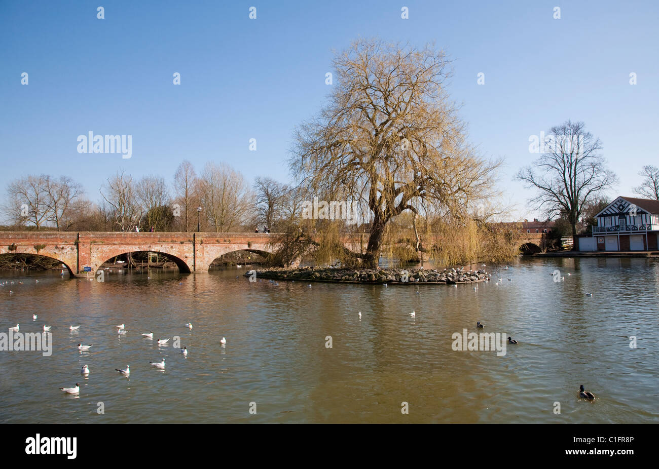 Tramvia ponte sul fiume Avon, Stratford upon Avon Foto Stock