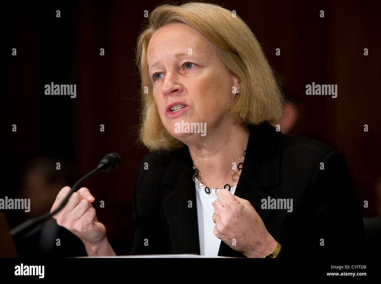 Mary Schapiro, Presidentessa della Securities and Exchange Commission (SEC) Foto Stock