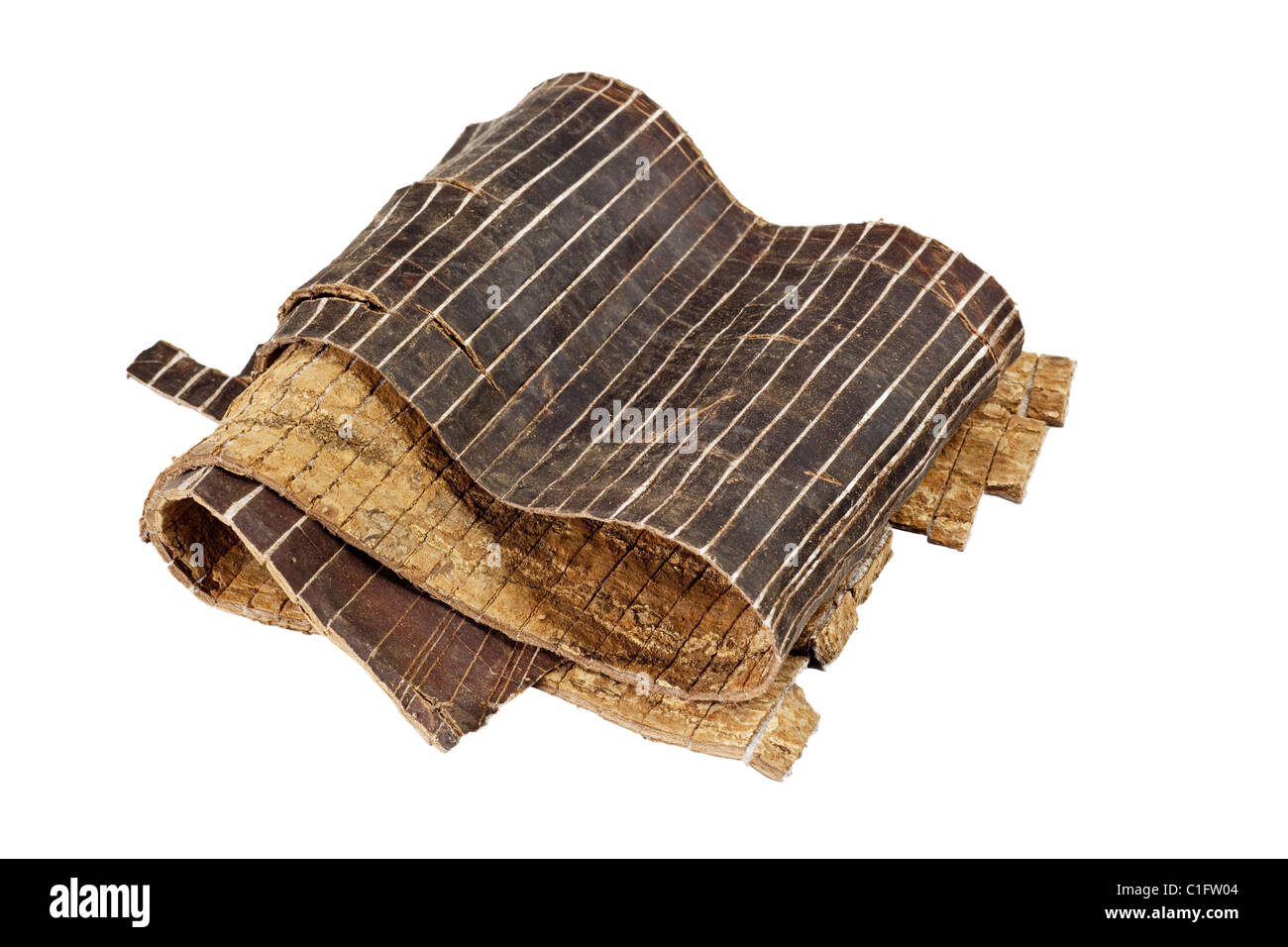 Ingrediente utilizzato nella medicina tradizionale cinese isolati su sfondo bianco - Duzhong (cortex eucommiae ulmoidis) Foto Stock