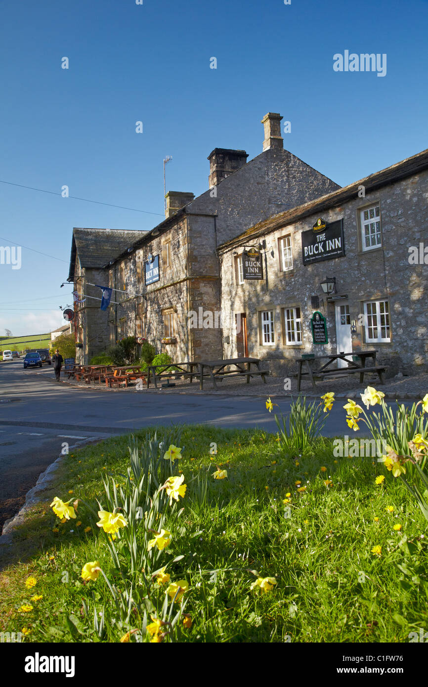 Narcisi e Buck Inn (1874), Malham, North Yorkshire, Inghilterra, Regno Unito Foto Stock