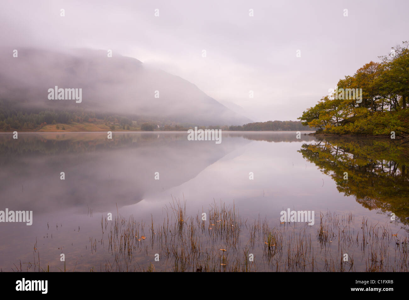 Scene di autunno a fianco di una nebbiosa alba a Loch Voil nella valle Balquhidder, Loch Lomond e il Trossachs National Park, Scozia Foto Stock