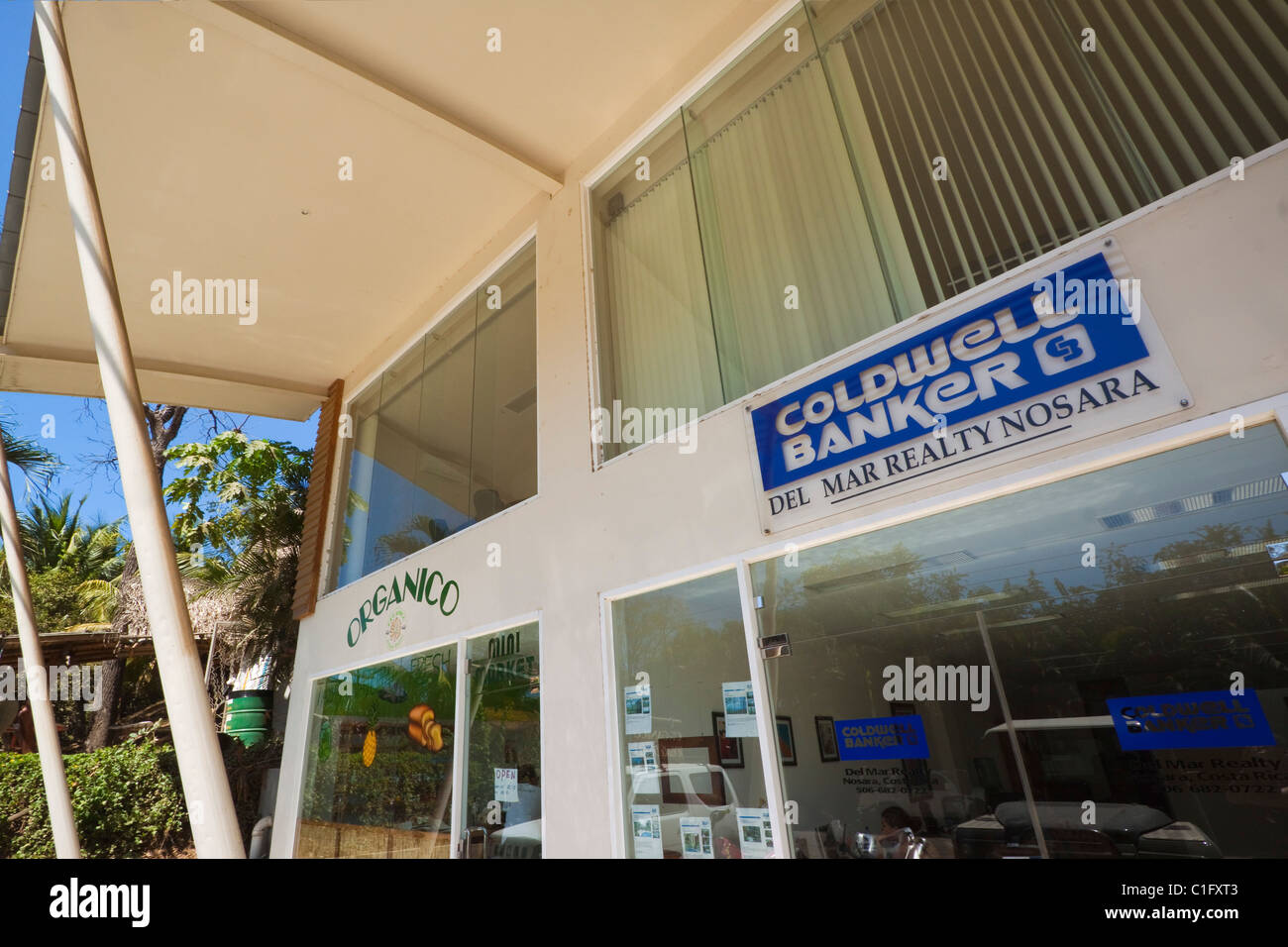 Alimenti biologici shop & agenzia immobiliare - tipico negozio fronti a questo espatriato zona verde surf comunità, Nosara, Costa Rica Foto Stock