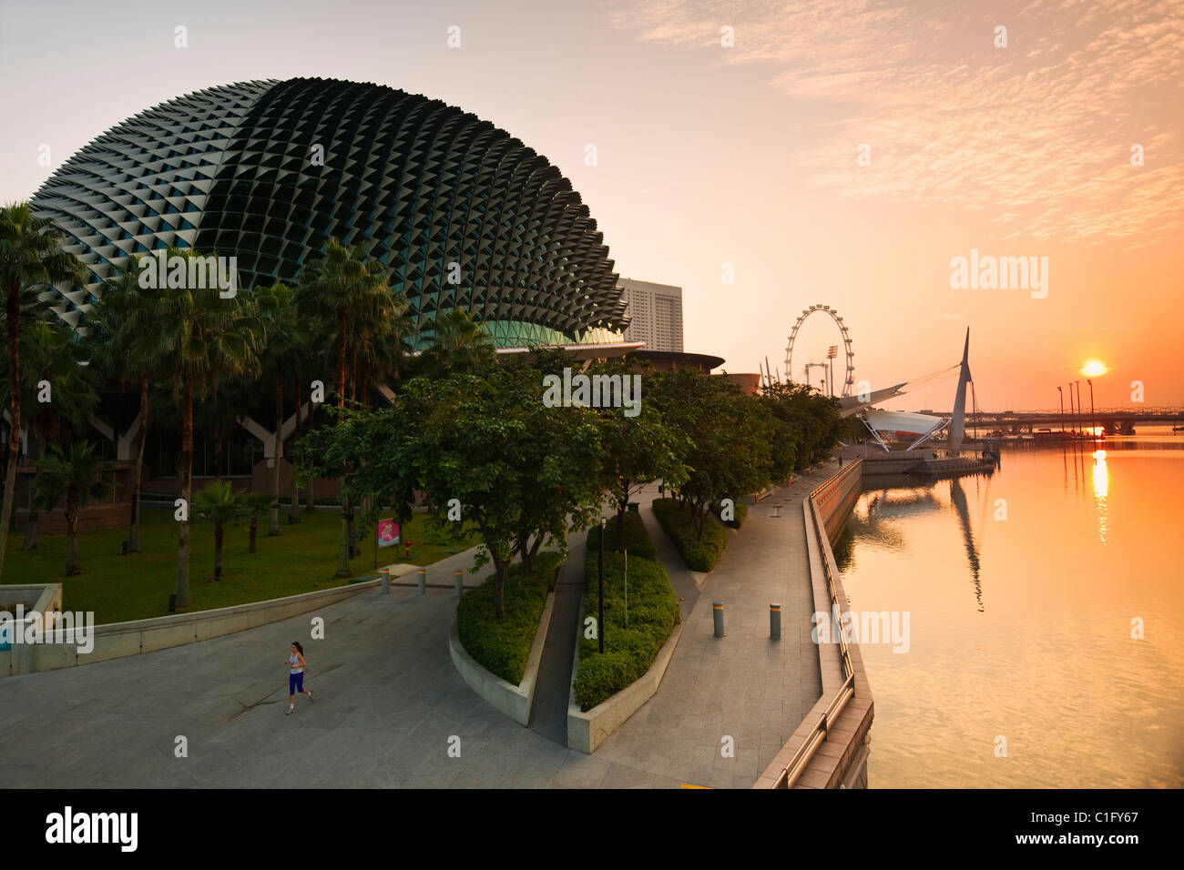 L'Esplanade, i teatri sulla baia edificio all'alba. Il Marina Bay, Singapore Foto Stock