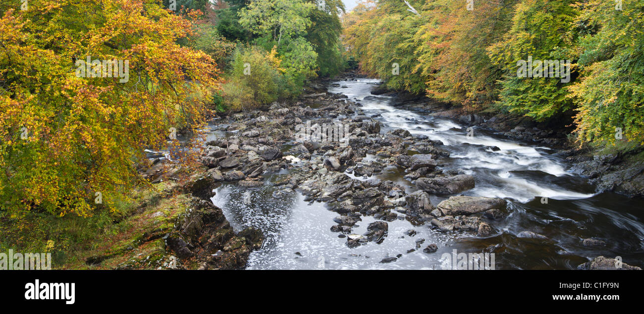 River Dochart circondato da golden lasciato alberi decidui, Loch Lomond e il Trossachs National Park, Killin, Stirling,Scotlan Foto Stock