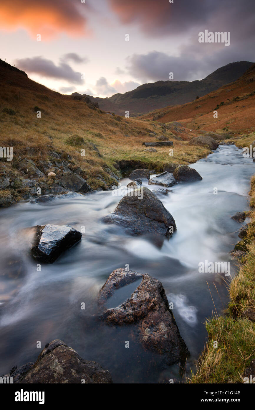 Bleamoss Beck, Parco Nazionale del Distretto dei Laghi, Cumbria, Inghilterra. In autunno (novembre 2010). Foto Stock